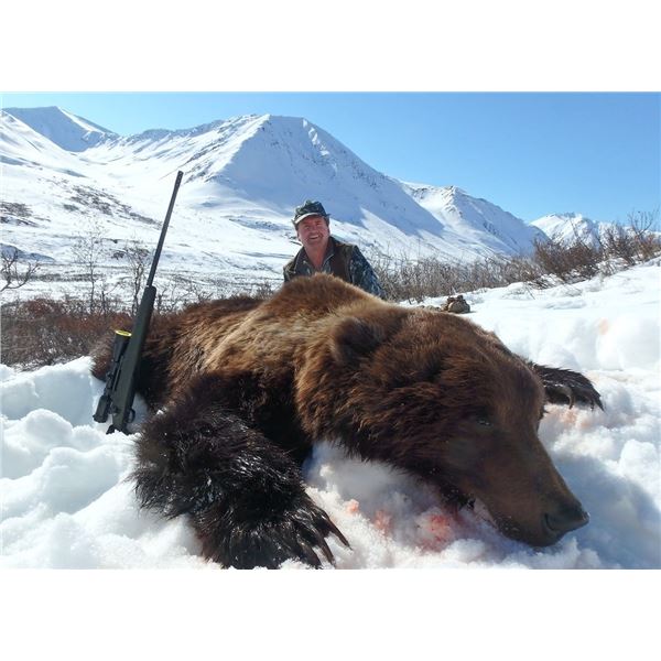 Alaskan Interior Grizzly Bear Hunt