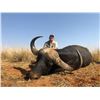 Image 1 : South Africa Cape Buffalo and Kudu for 2 Hunters and 2 Observers
