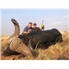 Image 2 : South Africa Cape Buffalo and Kudu for 2 Hunters and 2 Observers