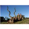 Image 3 : South Africa Cape Buffalo and Kudu for 2 Hunters and 2 Observers