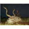 Image 4 : South Africa Cape Buffalo and Kudu for 2 Hunters and 2 Observers