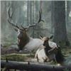 Image 1 : "The King's Lair" by Jay Kemp Framed Canvas Giclee