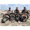 Image 1 : SINGLE SEASON GRAND SLAM TURKEY HUNT FOR ONE HUNTER 2022 ONLY! With Jeff Budz w/Tag it Word Wide