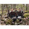 Image 2 : SINGLE SEASON GRAND SLAM TURKEY HUNT FOR ONE HUNTER 2022 ONLY! With Jeff Budz w/Tag it Word Wide