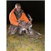 Image 3 : Indiana Whitetail hunt for 2 hunters 5 days, 6 nights, food and lodging for archery or muzzleloader
