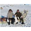 Image 2 : Inuit Outfitting ApS Greenland Winter Musk Ox Hunt