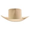 Image 1 : Roy Rogers' Resistol Hat