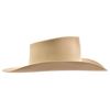 Image 2 : Roy Rogers' Resistol Hat