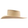 Image 4 : Roy Rogers' Resistol Hat