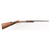 Image 1 : Antique Air Rifle .22