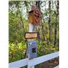 Image 4 : 3 Birdhouses