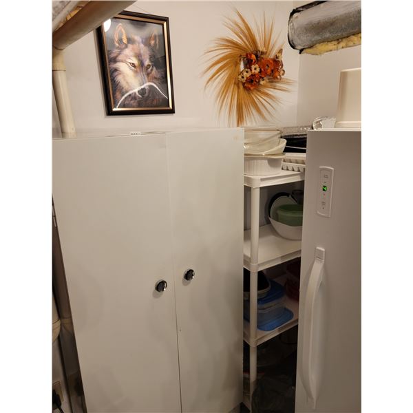 Shelf & Storage Cabinet with all Contents