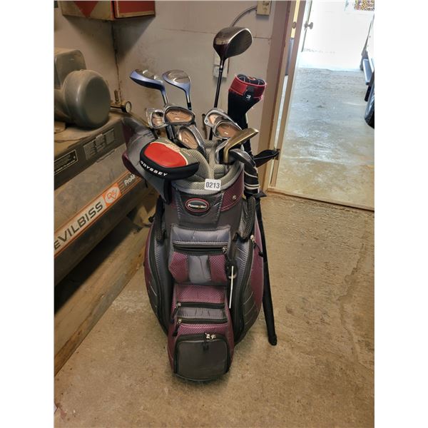 14 Assorted Golf Clubs - Golf Bag - Umbrella