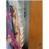 Image 4 : Handbags & Closet Organizer