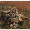 Image 1 : ALASKAN GRIZZLY/BROWN BEAR HUNT AND WOLF COMBO FOR 1 HUNTER 10 DAYS
