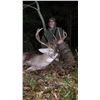 Image 6 : KANSAS WHITETAIL DEER GUN OR BOW HUNT FOR ONE
