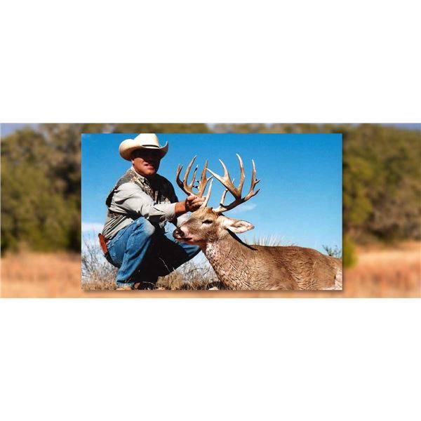 Whitetail Deer Hunt in Texas