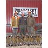 Image 1 : PHEASANT HUNT IN SOUTH DAKOTA