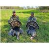 Image 1 : Rio Grande Guided Turkey Hunt for 2 in Eureka Kansas