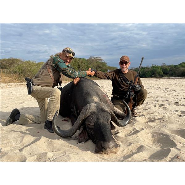 Tanzania 10 day Buffalo Hunt for one hunter includes trophy fee for one Cape Buffalo