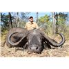 Image 1 : Sable and Buffalo Combo hunt for 2 hunters Africa