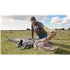 Image 1 : ALLIGATOR HUNT UP TO 10 FOOT GATOR IN FLORIDA
