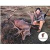 Image 7 : 16 - SPANISH RED STAG HUNT FOR 1 HUNTER AND 1 NON-HUNTER