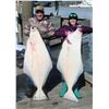 Image 11 : 38 - WILD ALASKA FISHING TRIP FOR 2 ANGLERS
