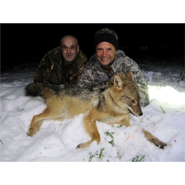 Small Predator Hunt in Serbia