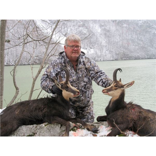 Chamois Hunt in Serbia