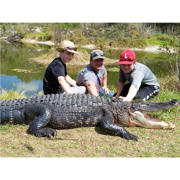 Florida Alligator Hunt