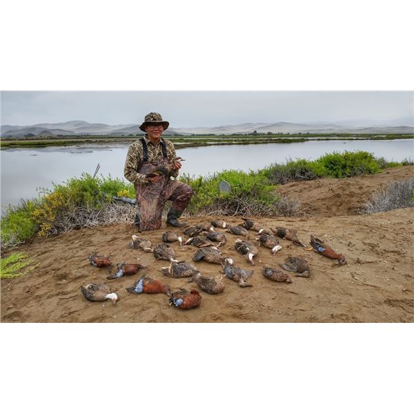 Chaku Peru: Duck Hunt in Peru