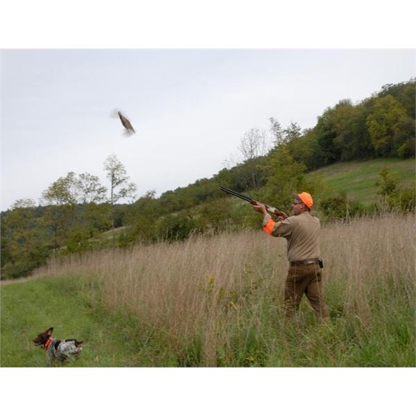 Pennsylvania Chukar Hunt