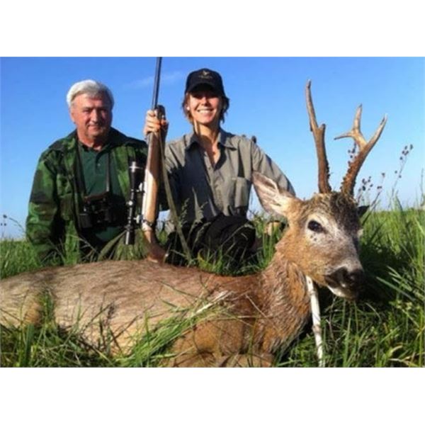 Serbian Roe Deer Hunt