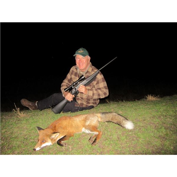 Small Predator Hunt in Serbia