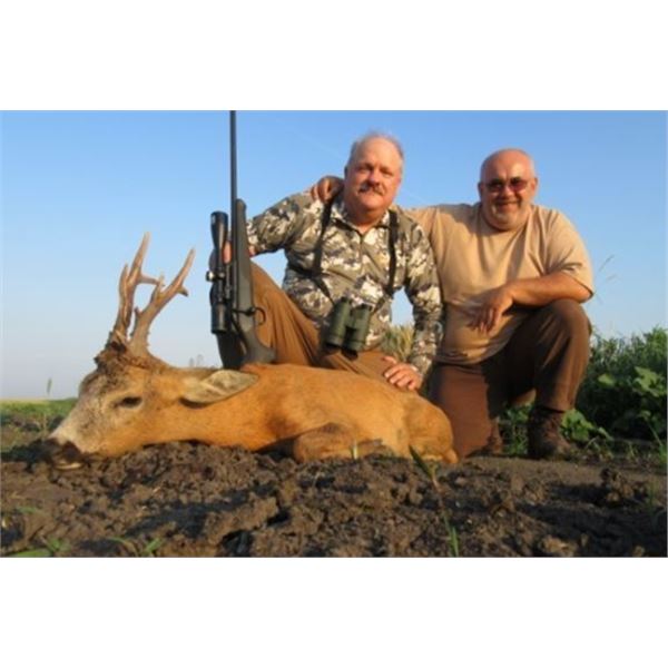 Roe Deer Hunt in Serbia