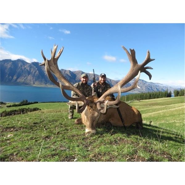 Fair Chase Silver Medal Red Stag Hunt in New Zealand for 1 Hunter & 1 Non Hunter