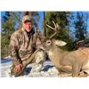 Image 1 : 5 Day Archery Whitetail Deer Hunt for 1 Hunter