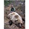 Image 3 : Alaska: 8 Day 7 Night Lodging plus Spring Bear Or Winter DIY Ptarmigan/Predator Hunting for 2 People