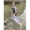 Image 4 : 2 Days Sturgeon Fishing on the Fraser River