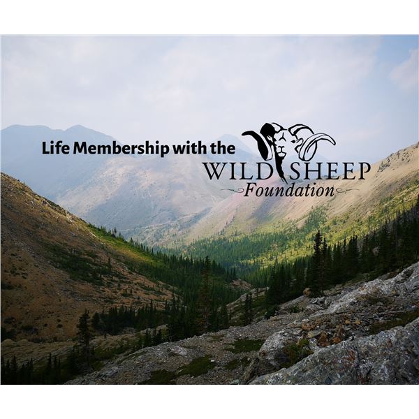 Wild Sheep Foundation Life Membership