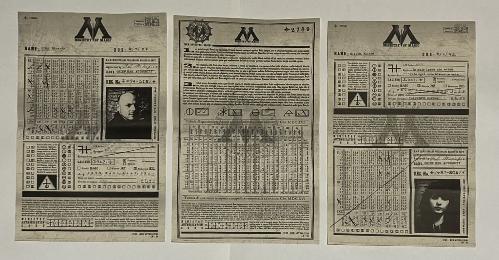 Harry Potter Franchise - Ministry of Magic Register Department Forms