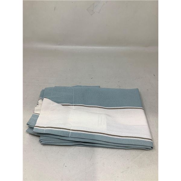 Blue And White Curtain