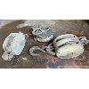 Image 1 : LOT OF 3 - ANTIQUE PULLEYS