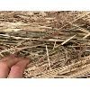 Image 2 : LOT OF 25 - 2020 4 X 5 FOOT ROUND HAY BALES - MIXED 