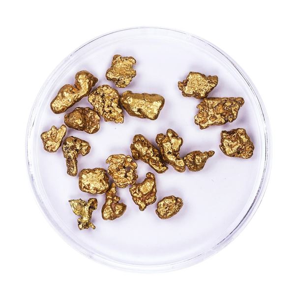 Lot of Gold Nuggets 9.18 grams Total Weight