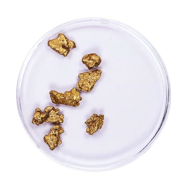 Lot of Gold Nuggets 3.35 grams Total Weight