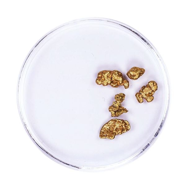Lot of Gold Nuggets 2.35 grams Total Weight