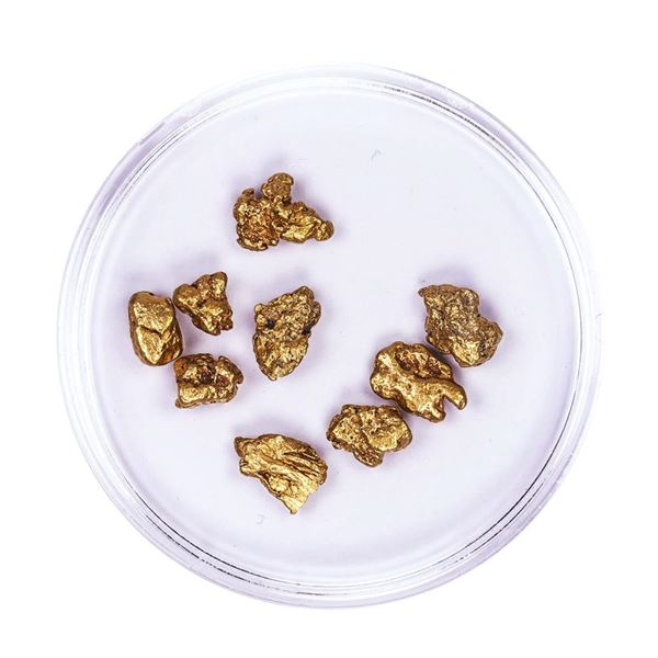 Lot of Gold Nuggets 4.67 grams Total Weight
