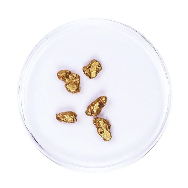 Lot of Gold Nuggets 2.90 grams Total Weight